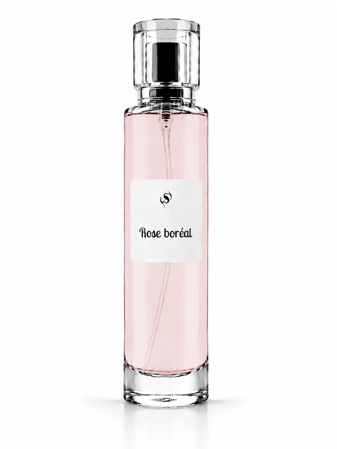 Rose Boréal