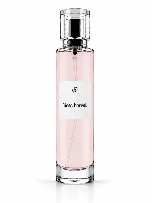 Rose Boréal
